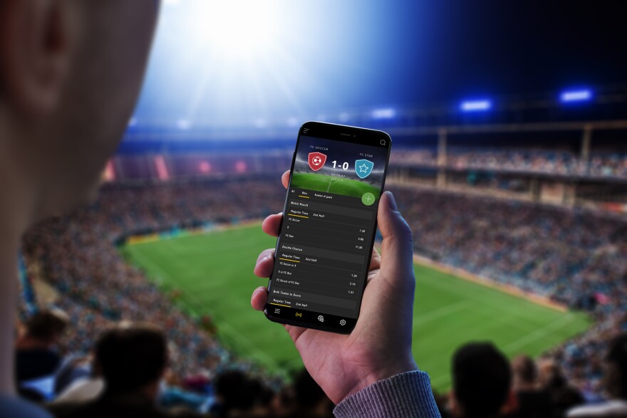 Ultimate Thrills Await Vivi - the place to be for sports fans and casino lovers alike Ultimate Thrills Await Vivi - the place to be for sports fans and casino lovers alike