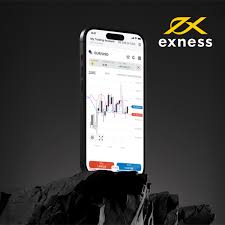 Comprehensive Guide on Exness Forex Brokers