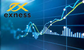 Comprehensive Guide on Exness Forex Brokers